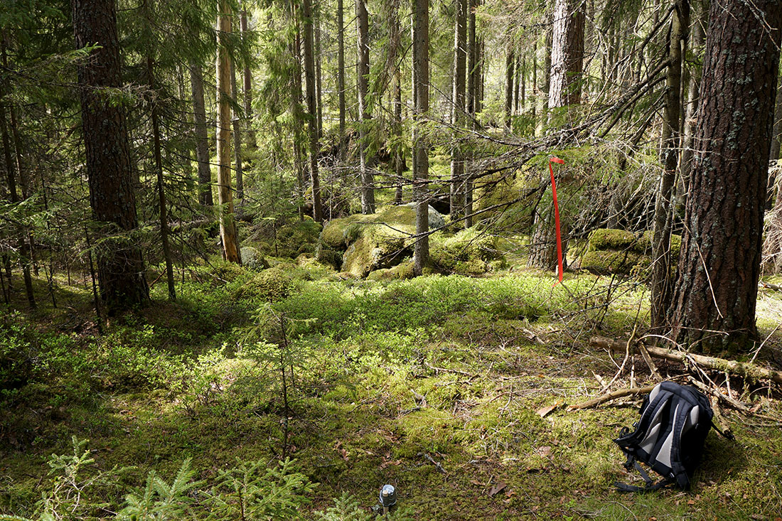 Greensway - Limes Norrlandicus