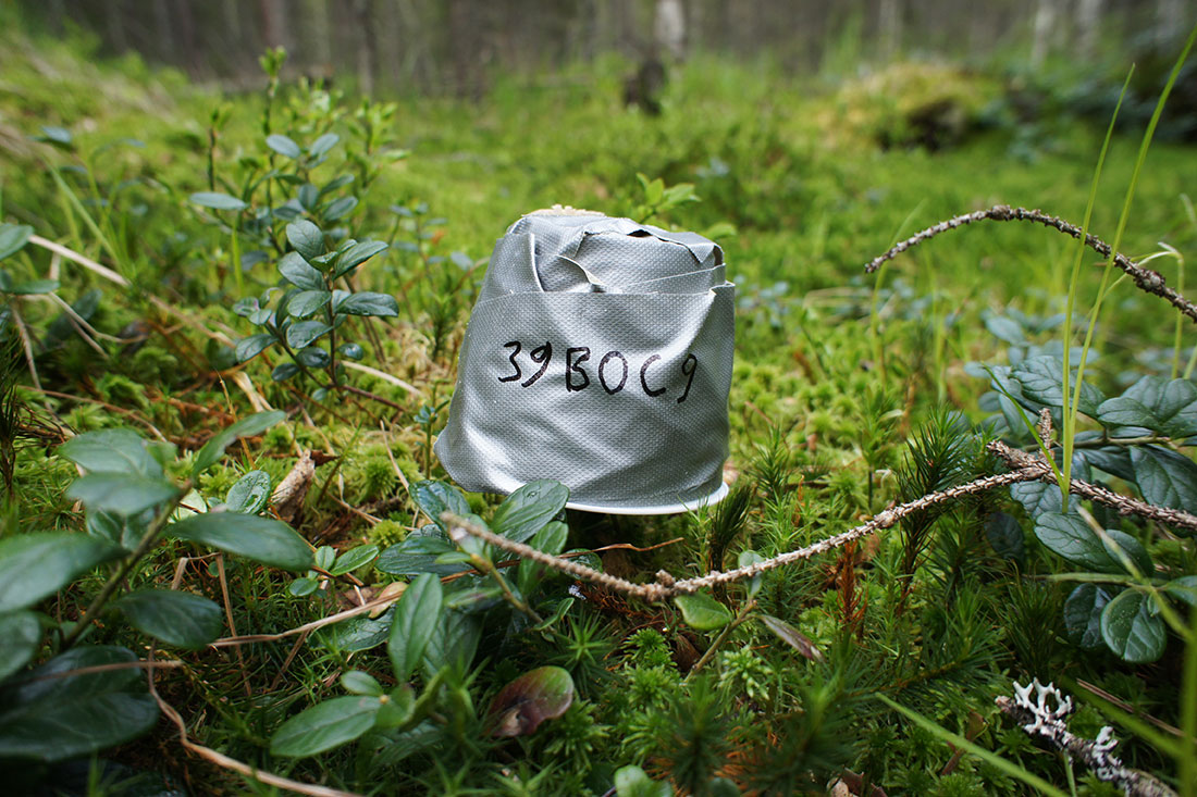 Greensway - Limes Norrlandicus