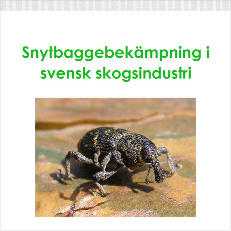 Snytbaggebekämpning i svensk skogsindustri