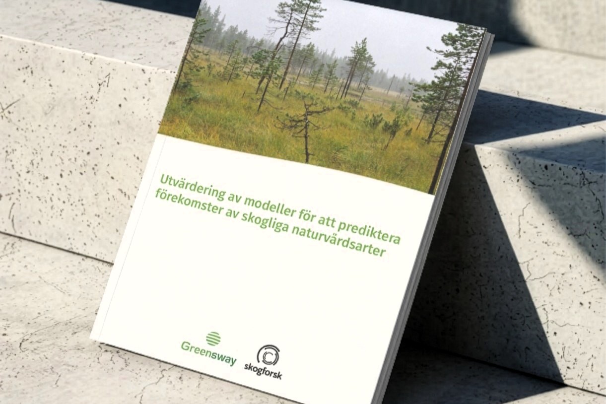 Ny studie visar att AI och öppna artdata kan identifiera biologiskt värdefulla skogar