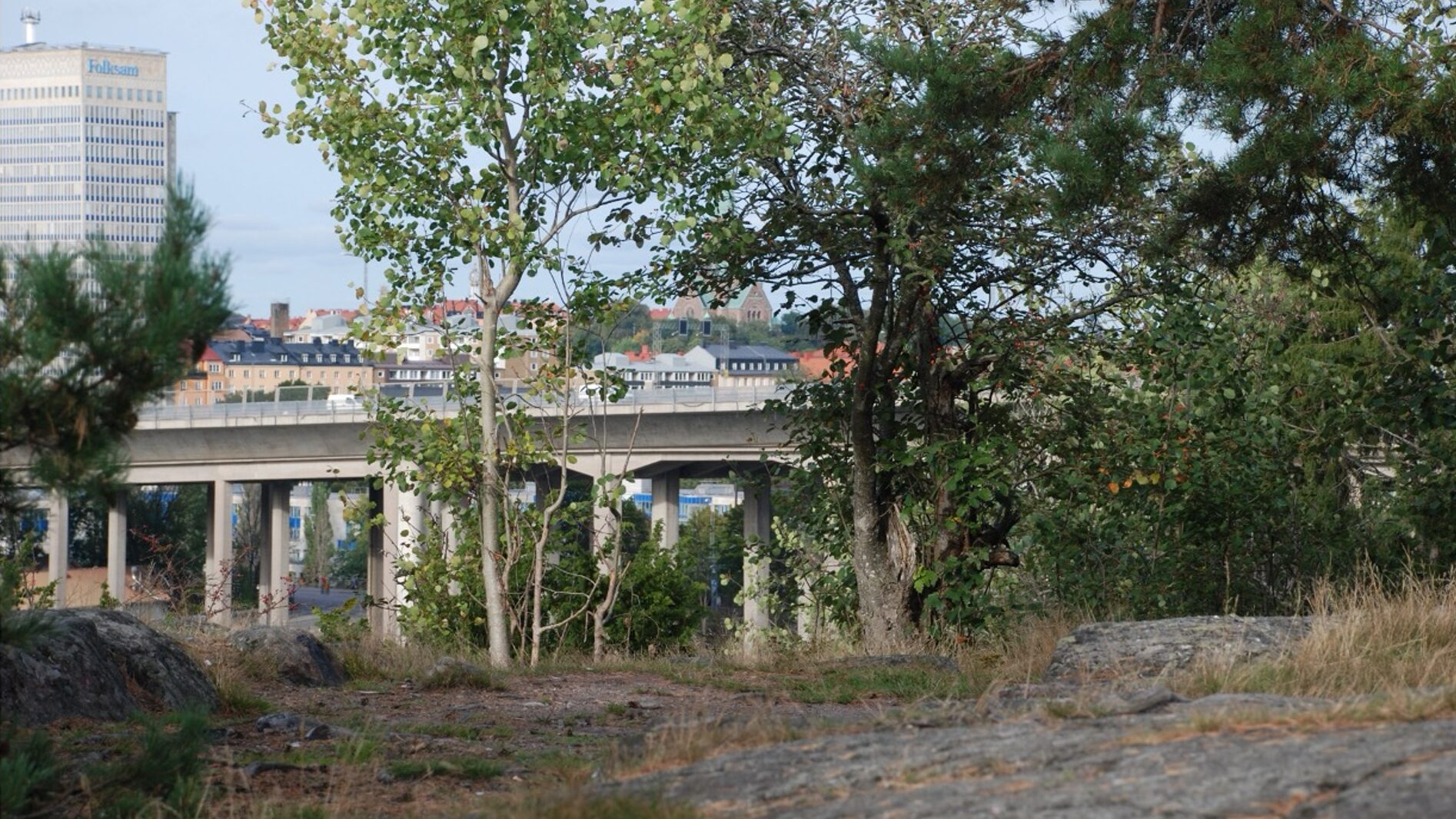 Stadsnära naturskötsel